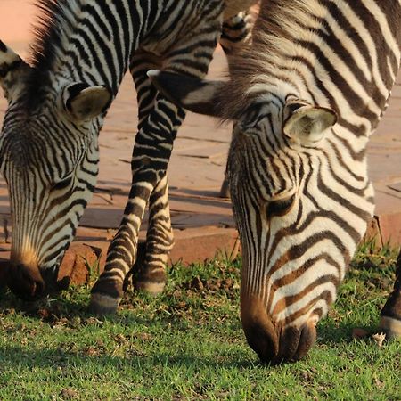 We Kebi Safari Lodge Сесрием Екстериор снимка